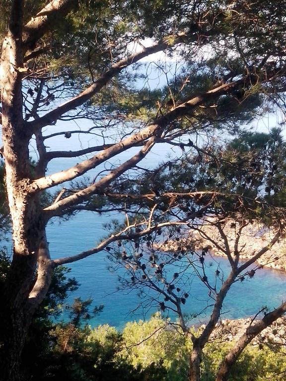 Portoselvaggio Villa Martina Santa Caterina  ห้อง รูปภาพ